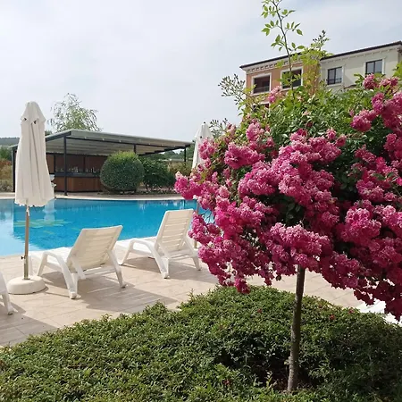 Apartament Lily - Sun Over The Forest -