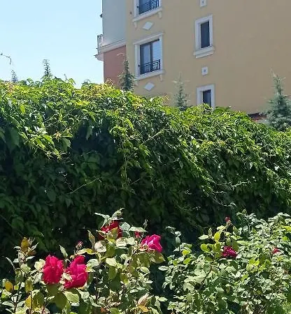 Apartmán Lily - Sun Over The Forest - Sozopol